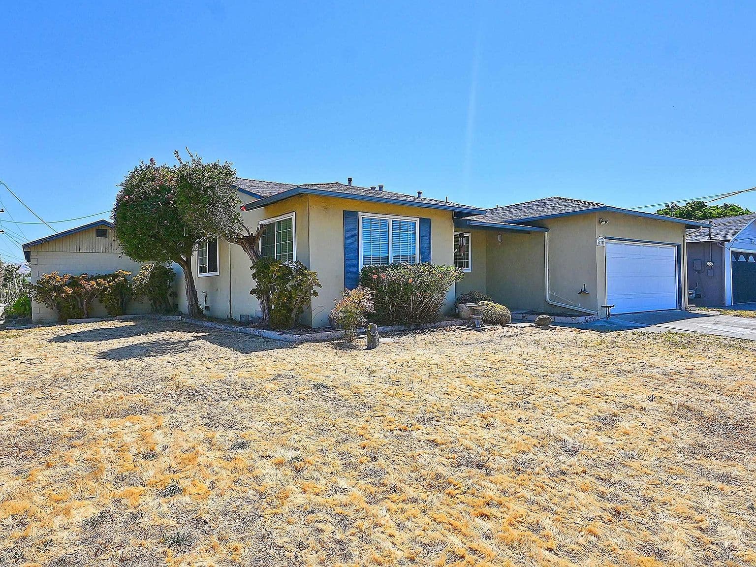 Dry Lawn