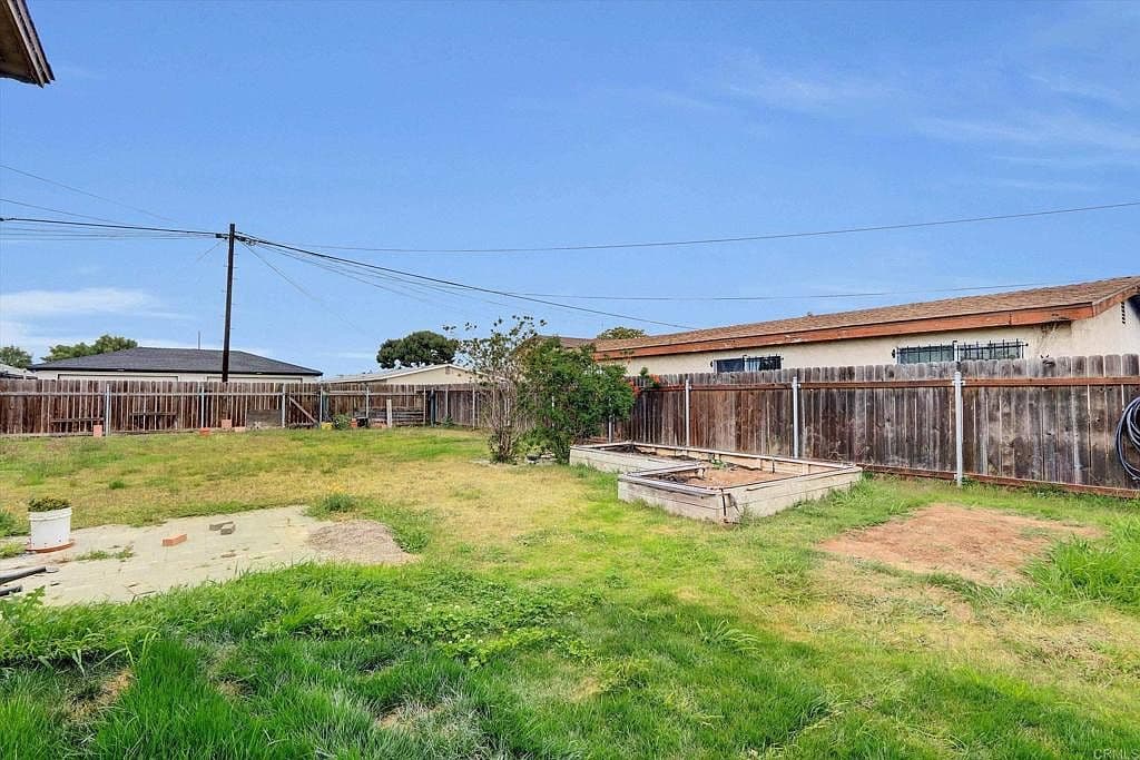 Overgrown Backyard