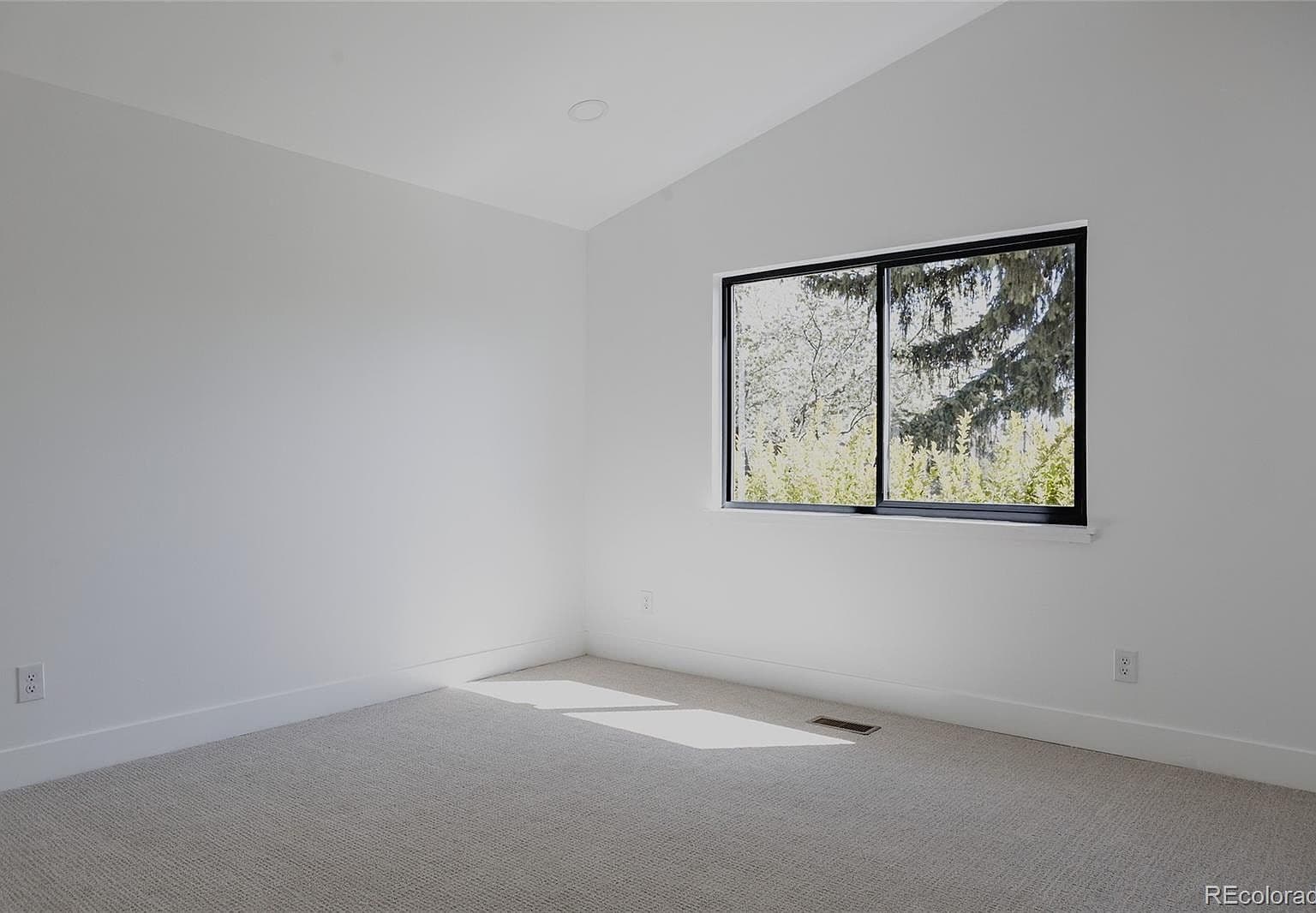 Low-Grade Carpet