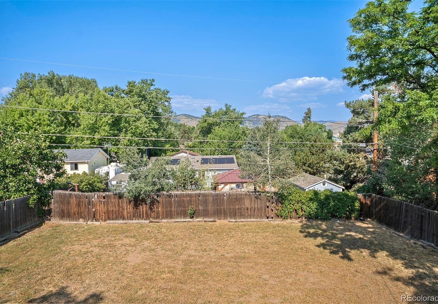 Dry Lawn