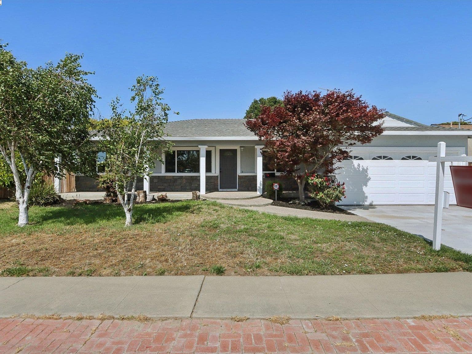 Dry Lawn