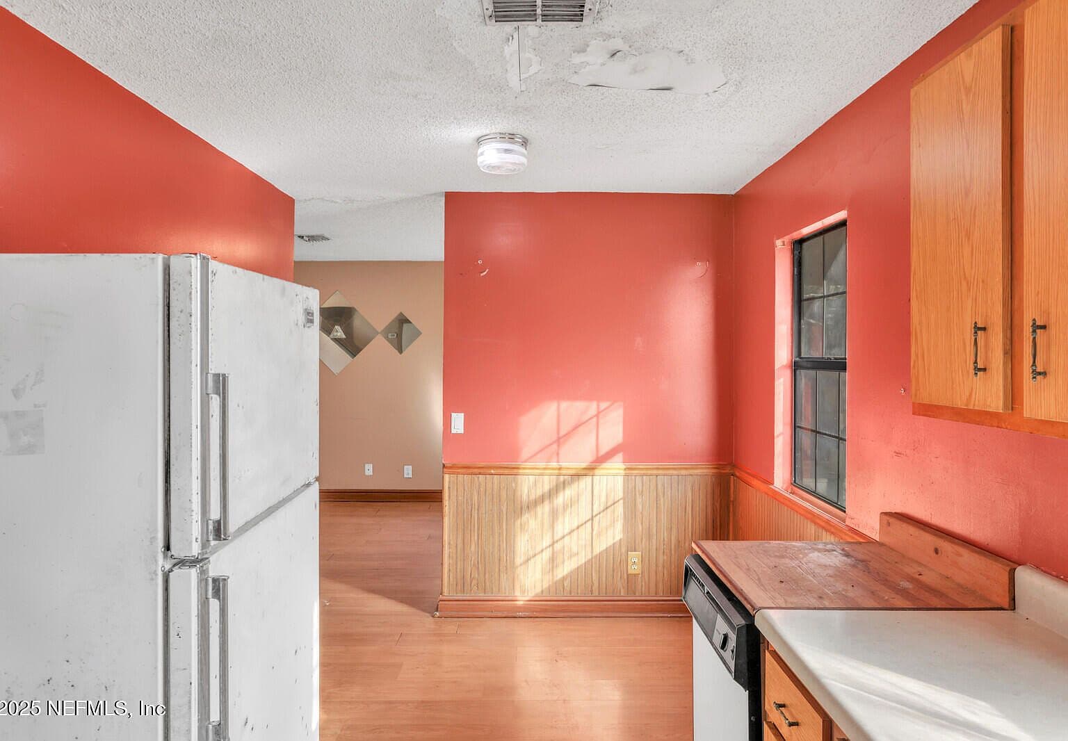 Ceiling Damage