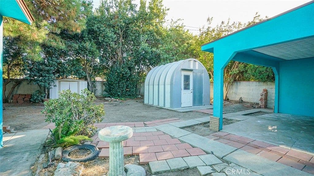 Backyard Condition