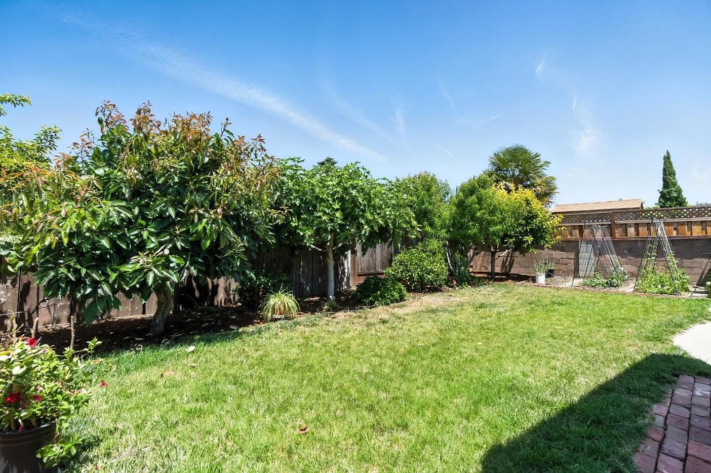 Aging Wooden Fence