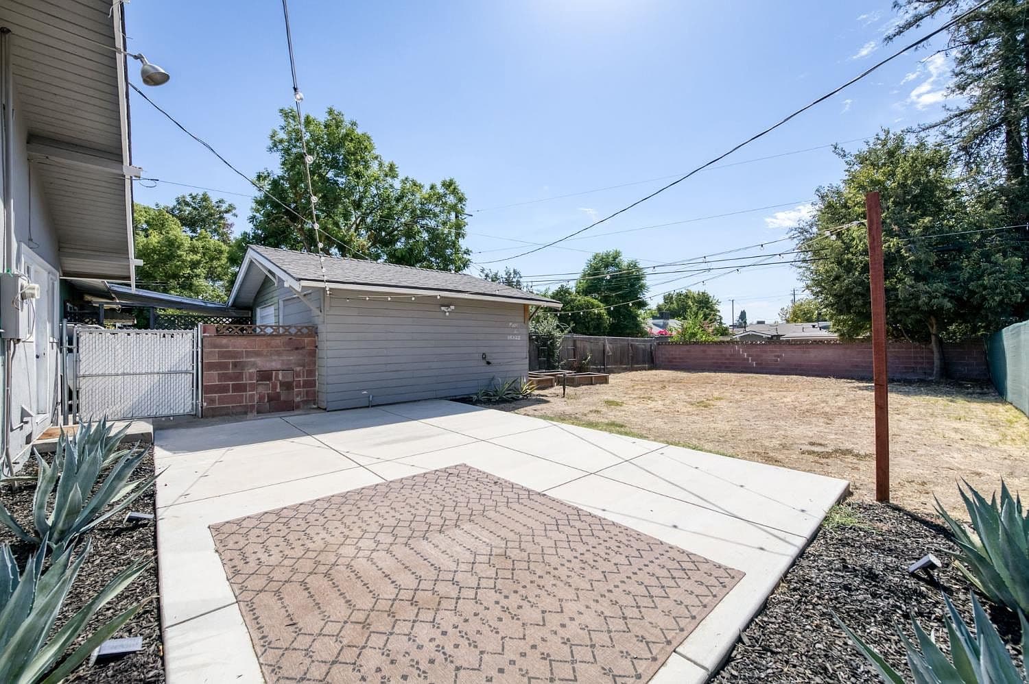 Dry Backyard
