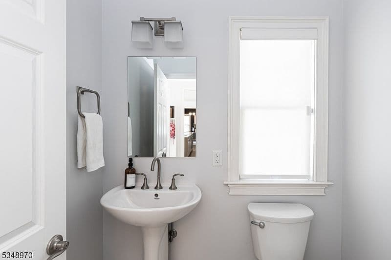 Pedestal Sink