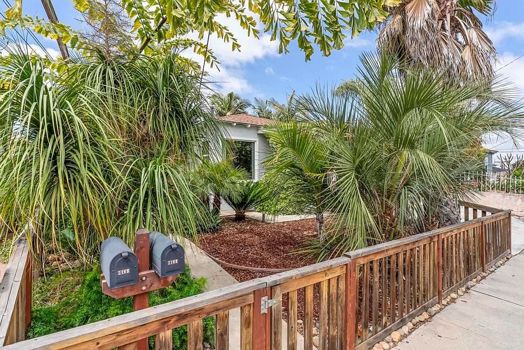 Overgrown Landscaping
