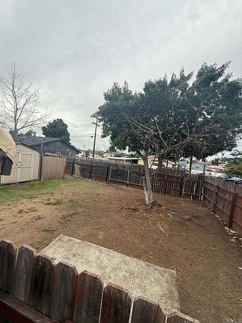 Unkempt Backyard