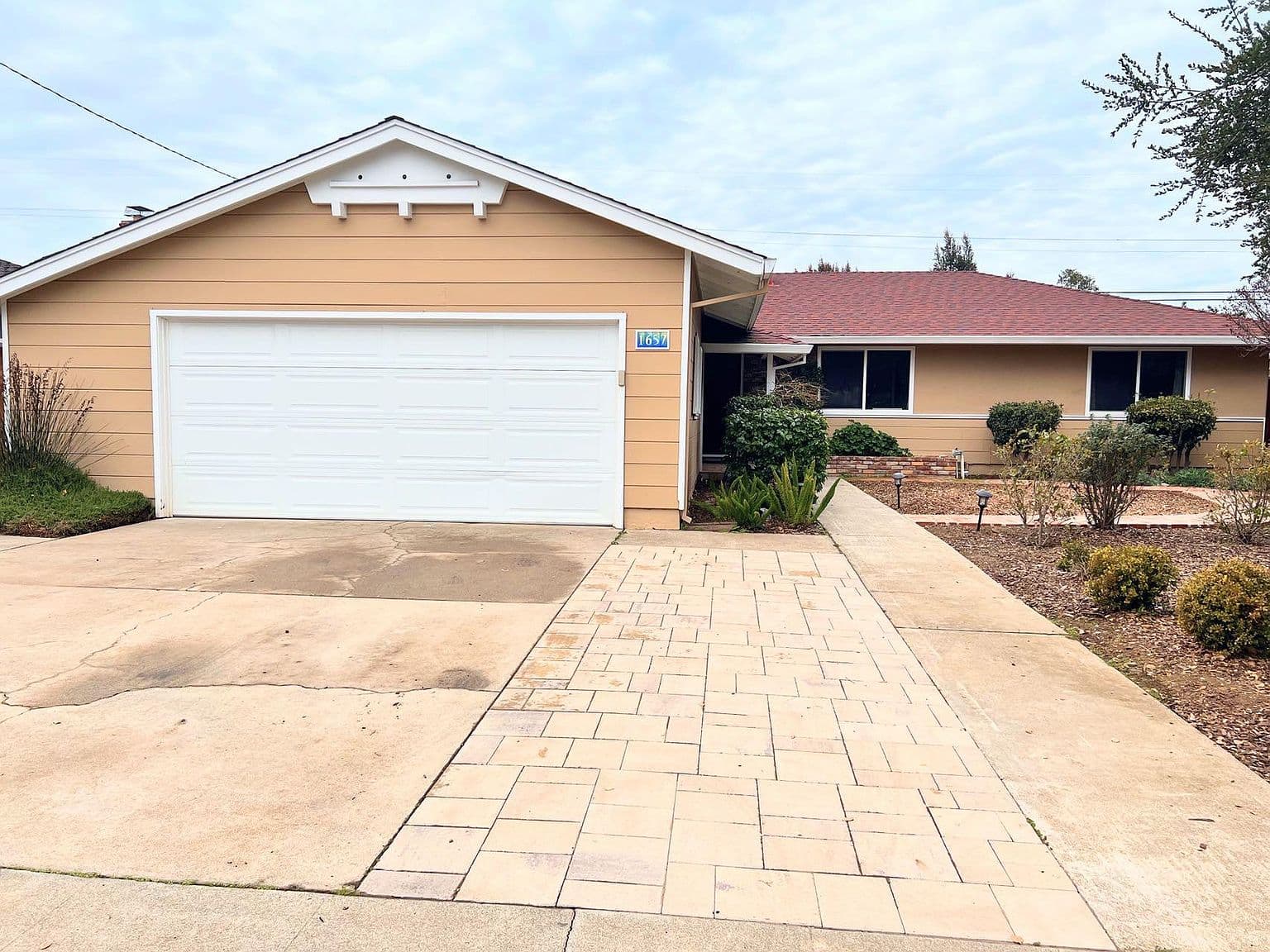 Cracked Driveway